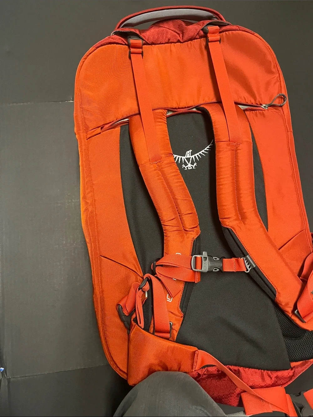 Osprey Porter 65L Backpack
